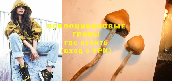 метадон Арсеньев
